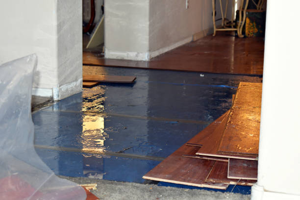 Professional Basement Flood Cleanup technician working in Bradner, OH